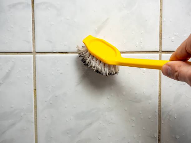 Best Preventive Mold Services in Calcutta, OH