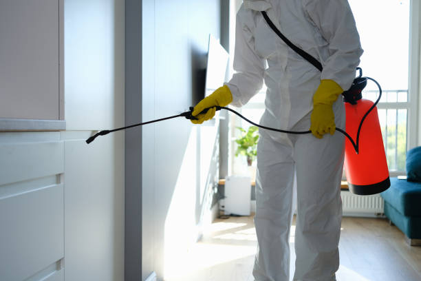 Best Industrial Mold Remediation in Calcutta, OH