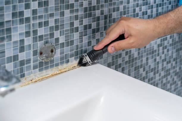 Best Mold Remediation for Schools in Calcutta, OH